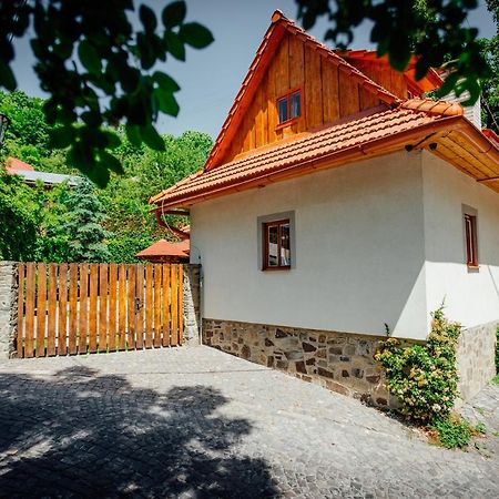 Stara Mytnica Villa Banská Štiavnica Dış mekan fotoğraf