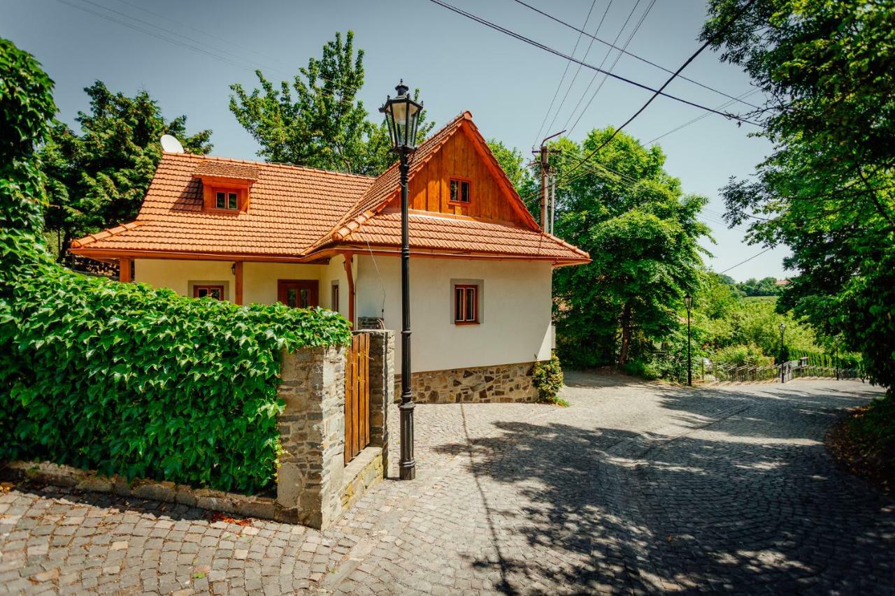 Stara Mytnica Villa Banská Štiavnica Dış mekan fotoğraf